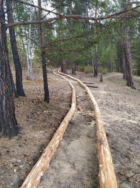     фото: пресс-служба Тункинского национального парка.