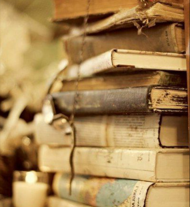 фото из свободного доступа 