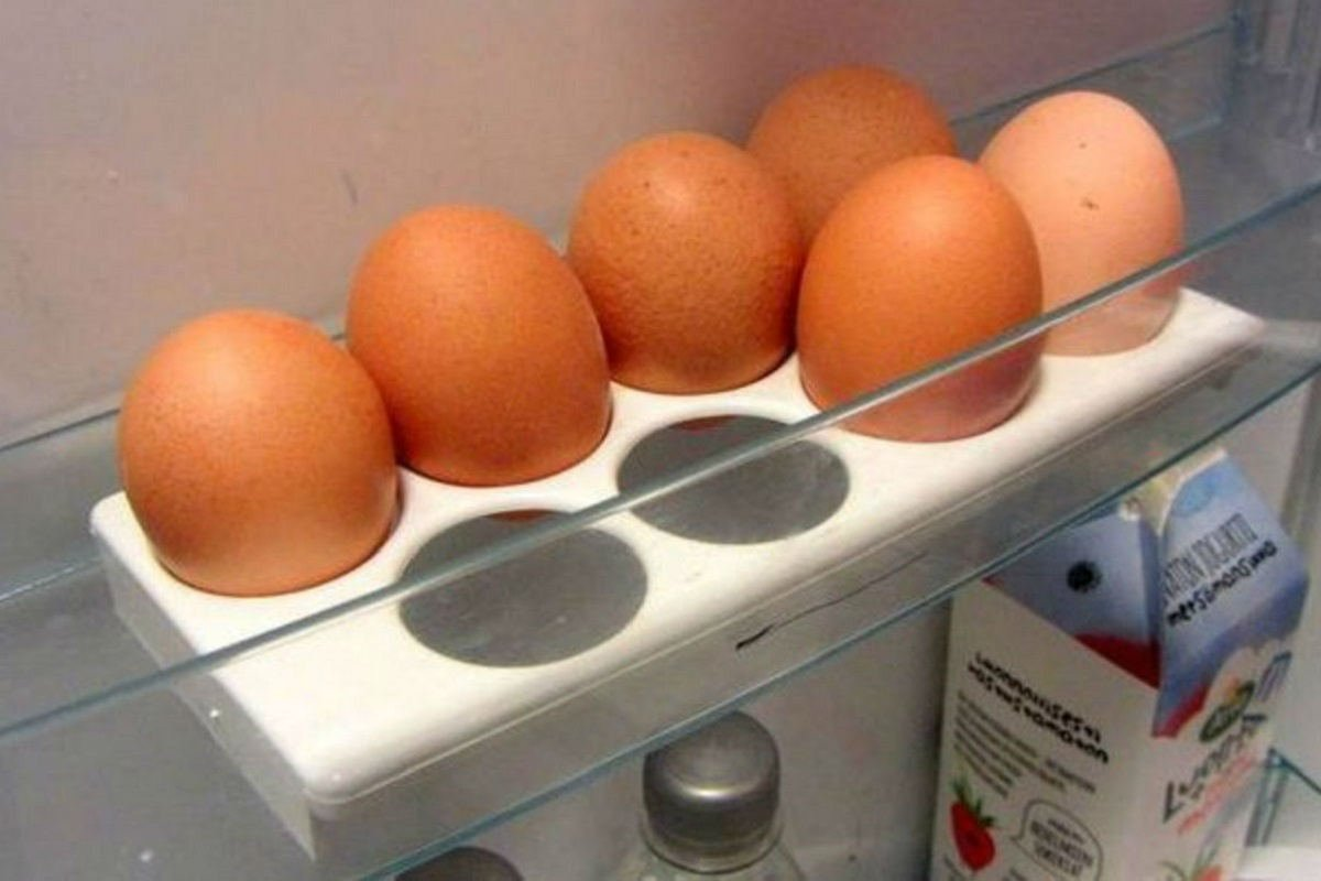 Можно ли закладывать яйца из холодильника. Лоток для яиц в холодильник. Лоток для хранения яиц в холодильнике. Яйца в холодильнике. Яйца на дверце холодильника.