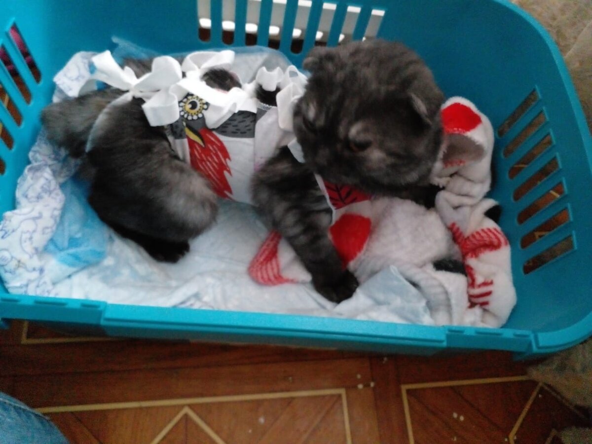 Ася уже проснулась