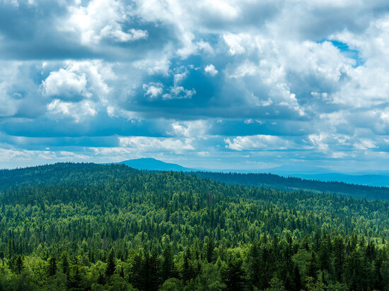     Фото: Людмила Ковалева
