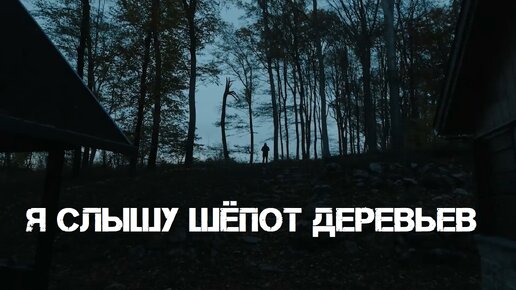 Я слышу шёпот деревьев (2022). Человек стал человеком когда услышал шепот. Воспоминания о любви. Всевышний слышит молитвы искреннего. Слезы на небесах.