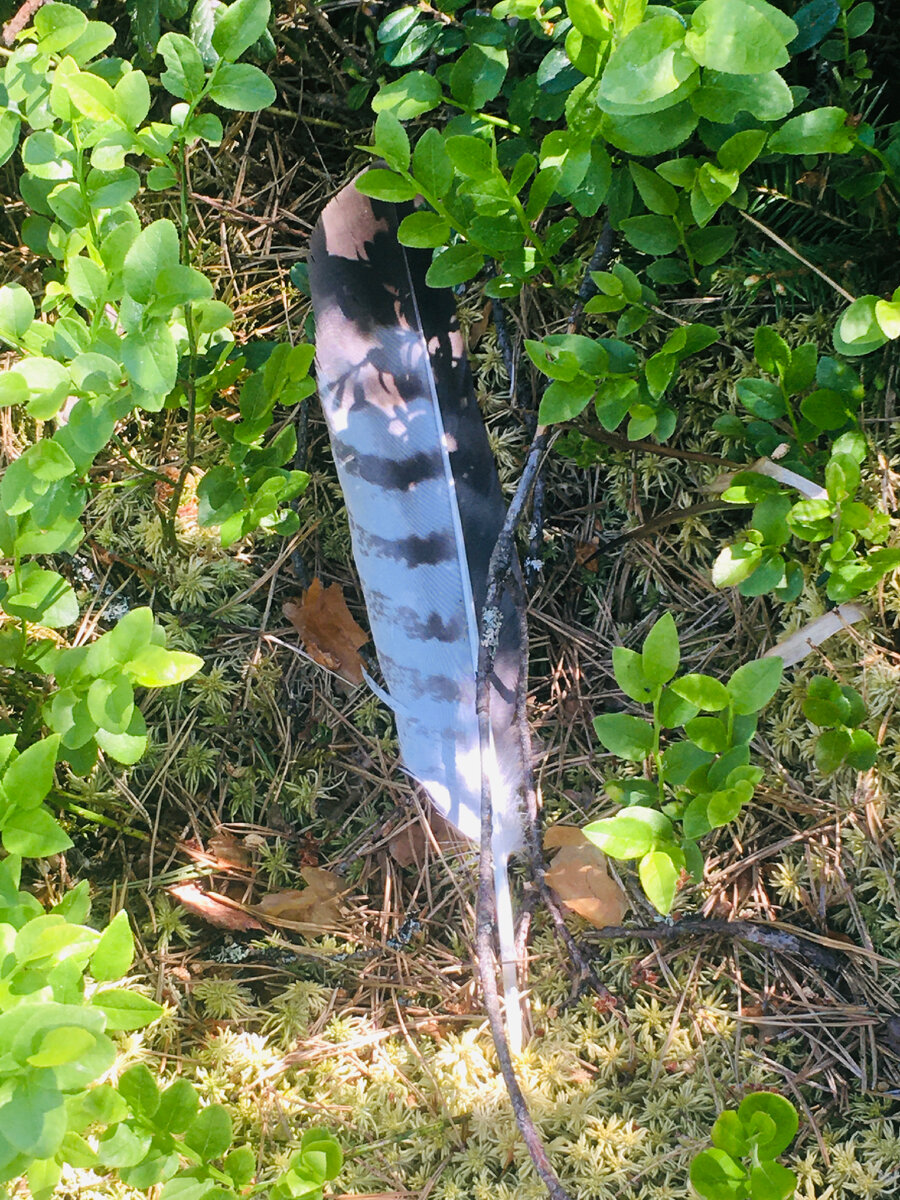 Фото из личного архива 