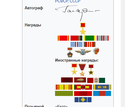 Точно такую медаль, но только другую, получил Юрий Гагарин.  В основном в Интернете это описано так: 12 апреля 1961 года первый космонавт Ю.А. Гагарин приземлился на поле колхоза им.-2