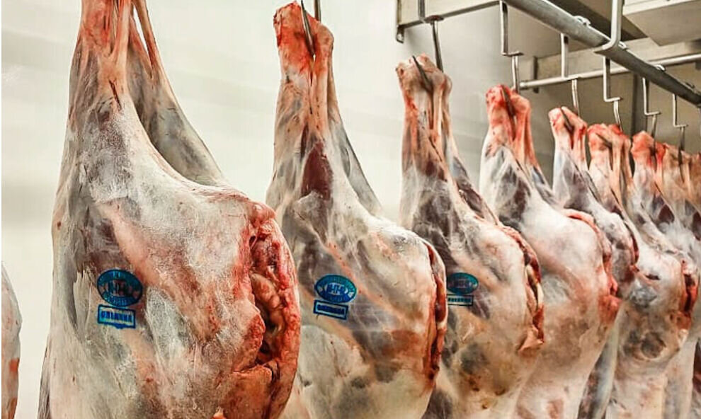    В Ямальском районе заготовят 850 тонн оленины