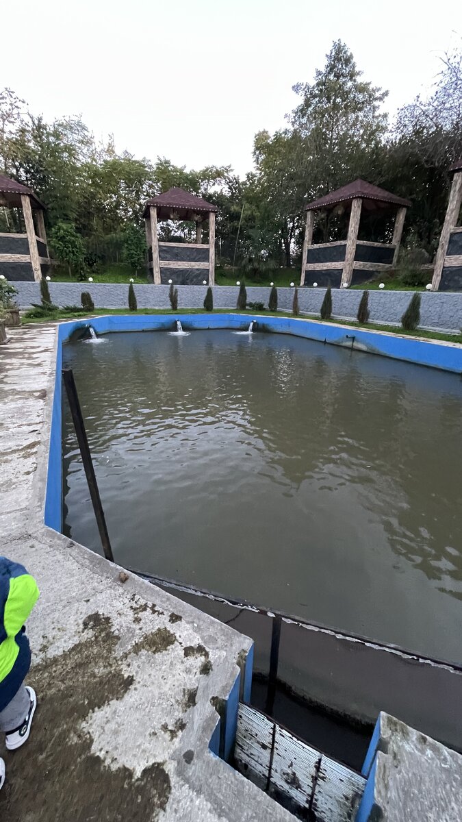 Большой бассейн с осётром