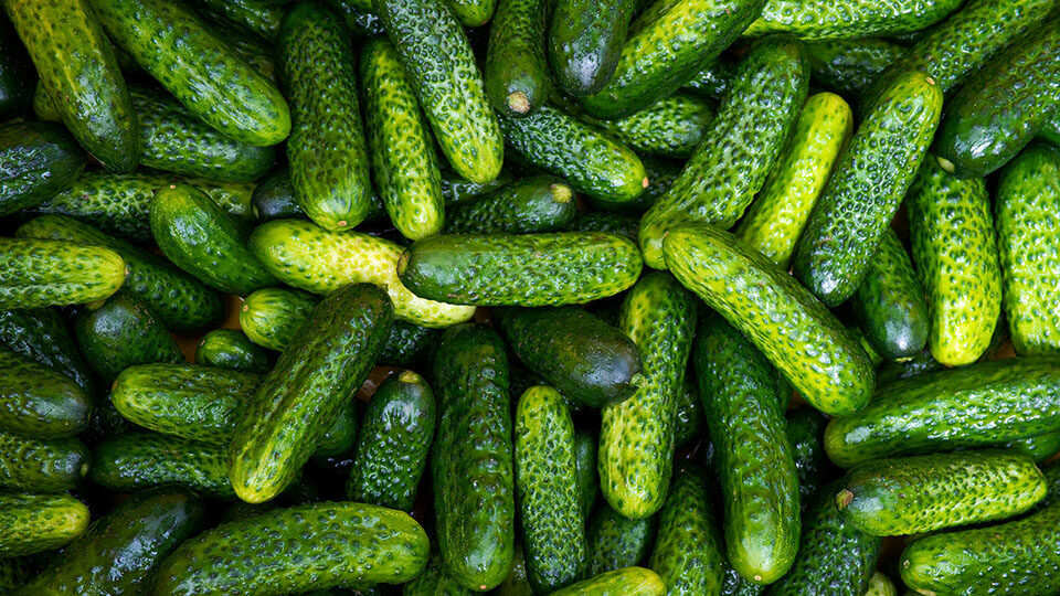 Какие красавчики!