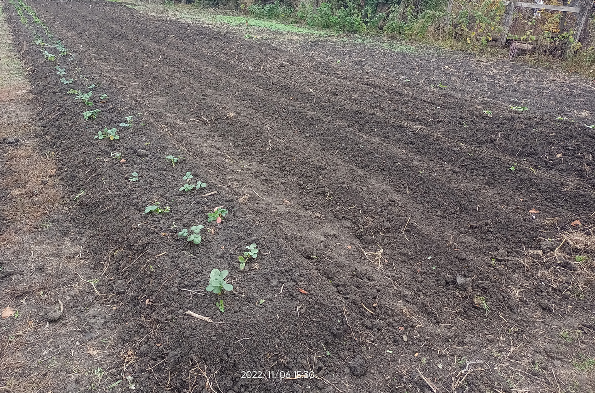 Личное фото.