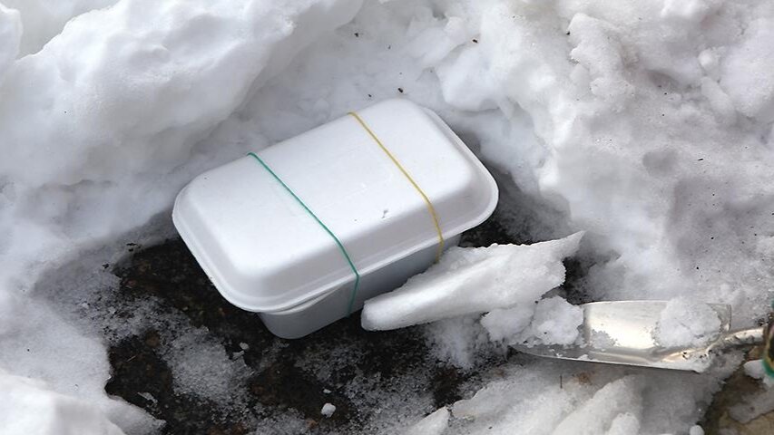 Для стратификации в снегу можно использовать лотки из вспененного полистирола