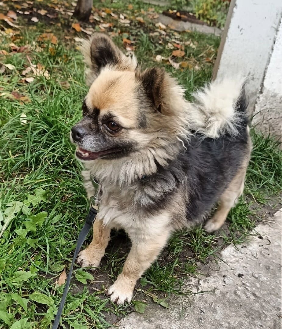 Знакомьтесь, наш герой Антошка