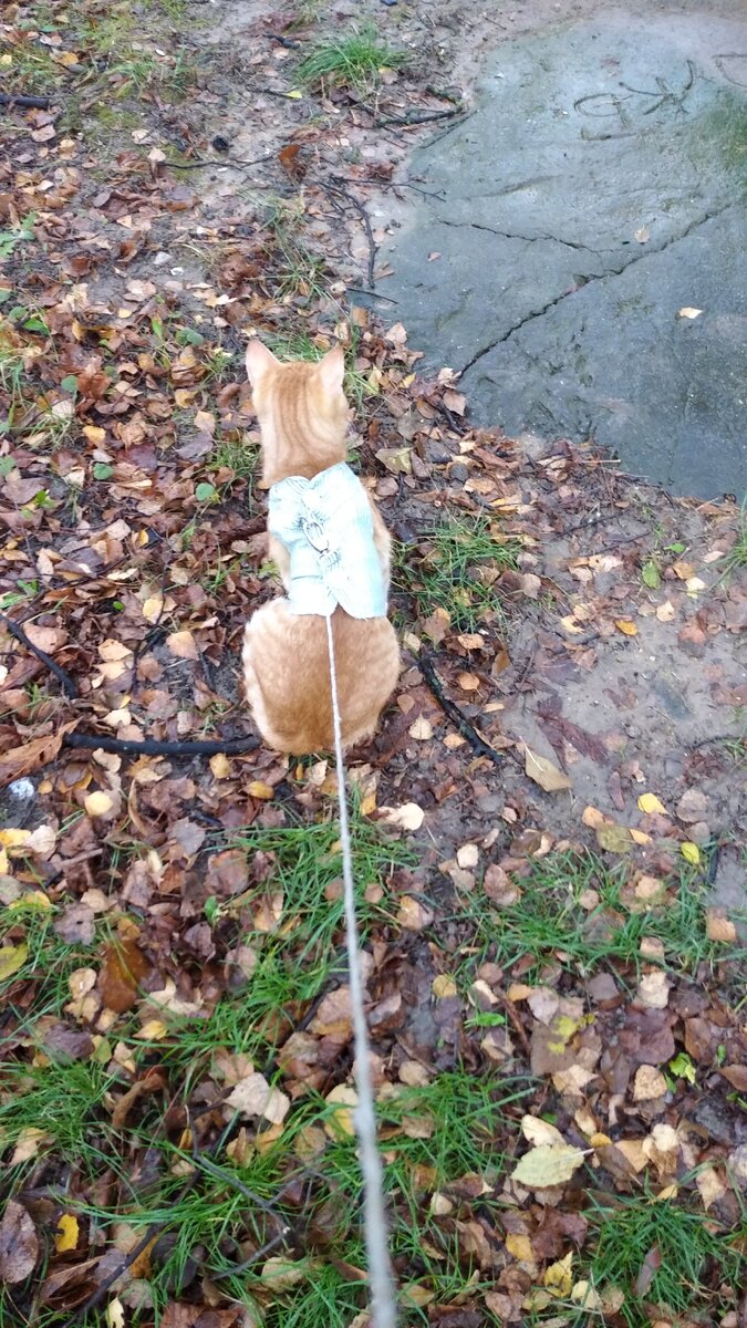 Личное  фото