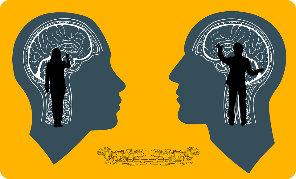 левое и правое полушарие мозга