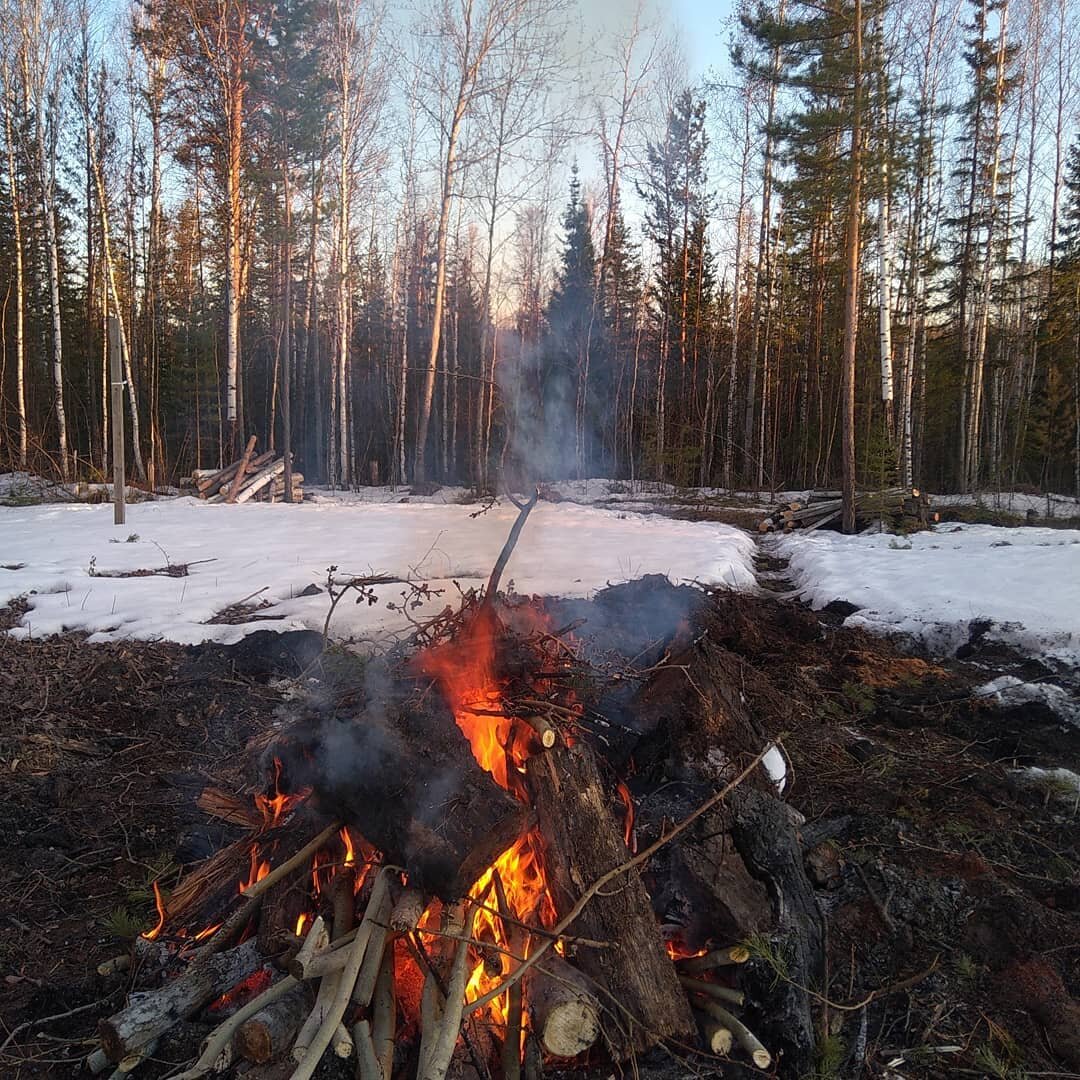 Остатки корней от большой кучи, которые выползли из под снега