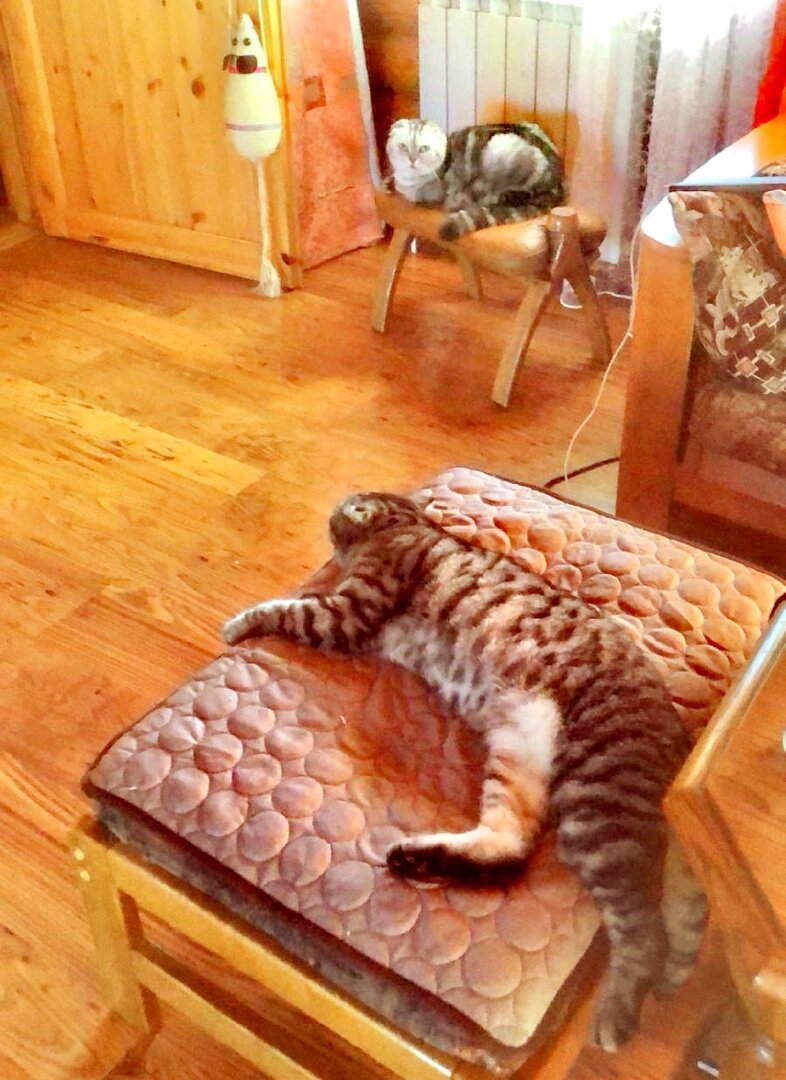 Хорошо дома