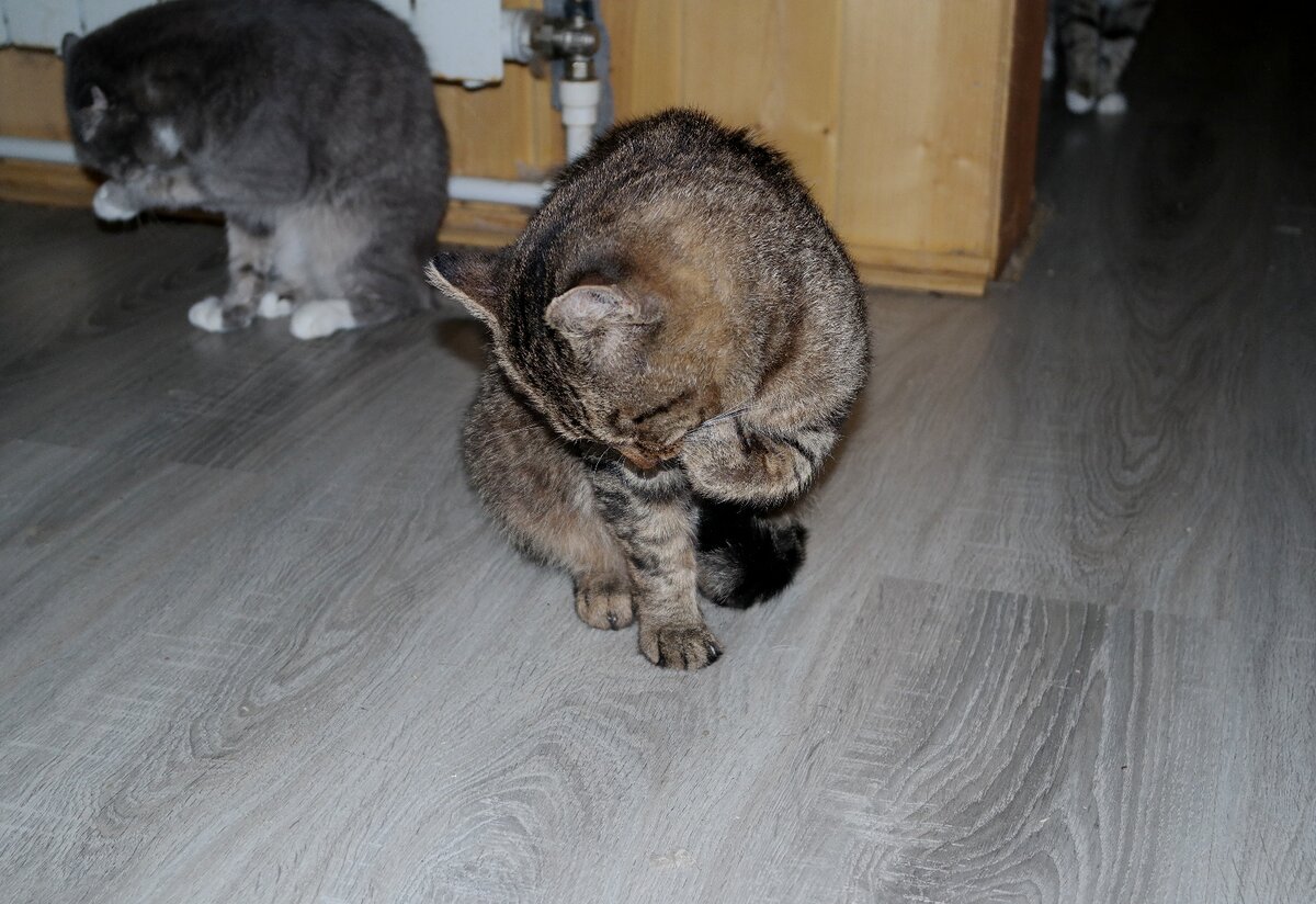 Фото из домашнего архива