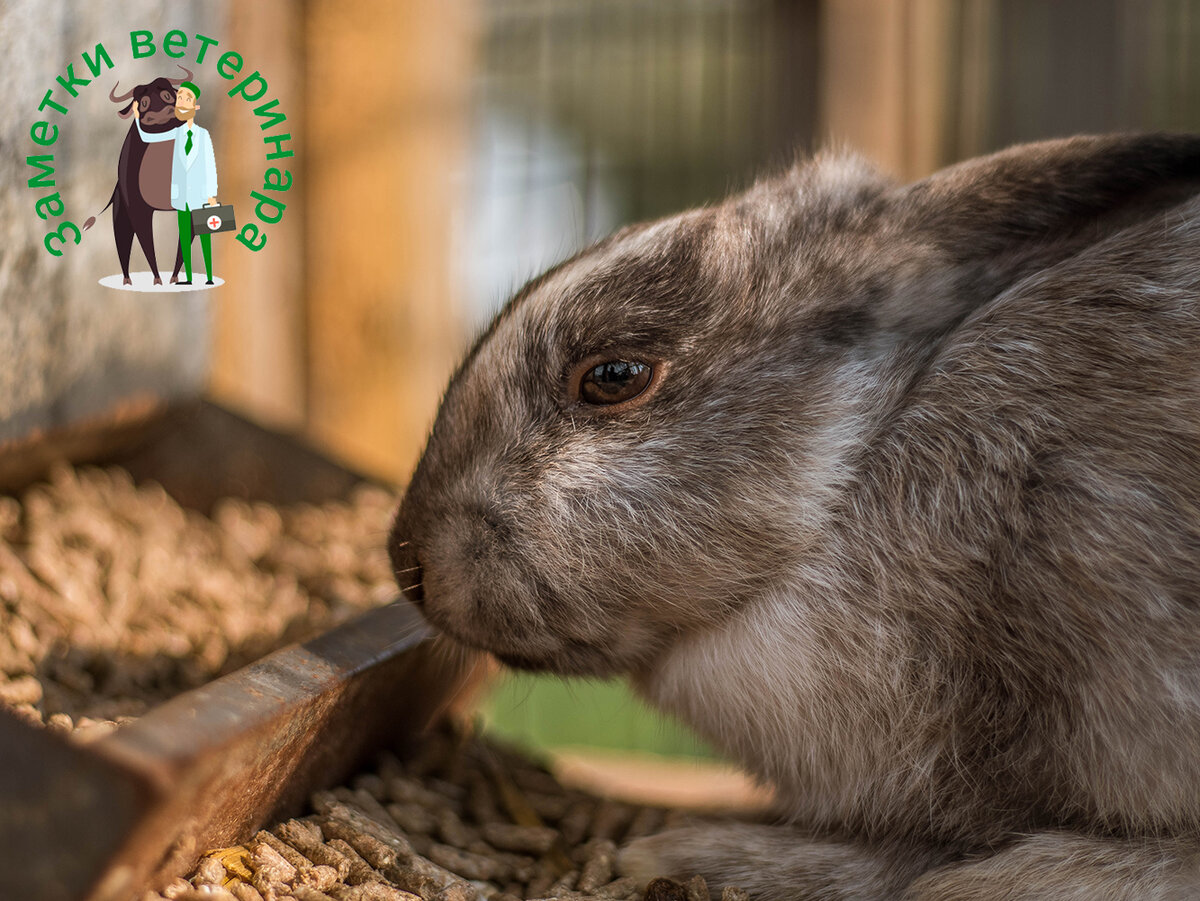 Фото: unsplash.com