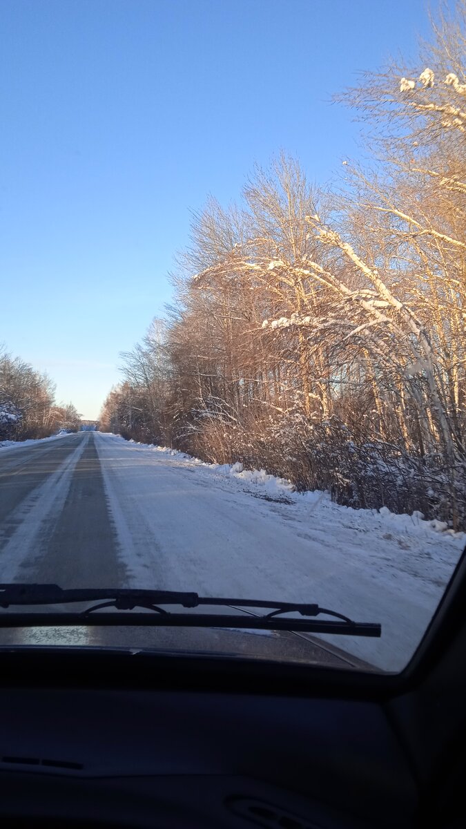 Почему-то берёзы клонит к дороге, и с правой стороны, и с левой.
