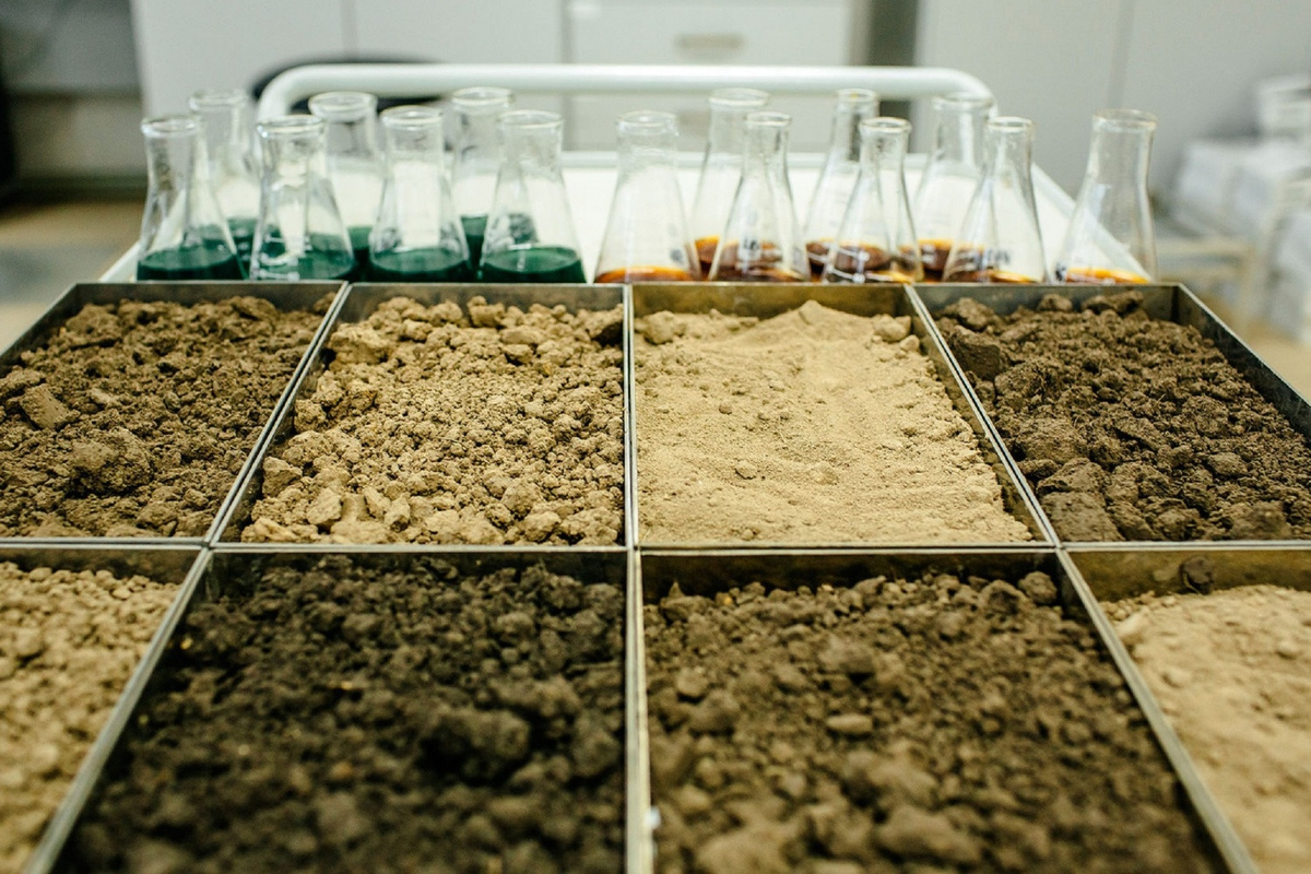 Разные виды почв.