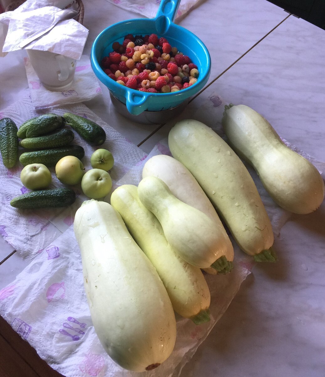 Урожай собираю через день