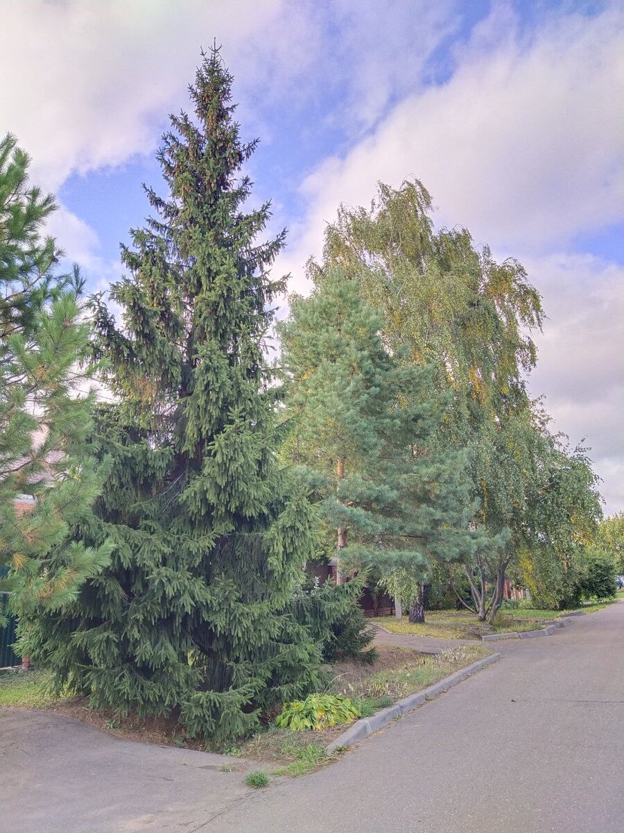 23 сентября 2022