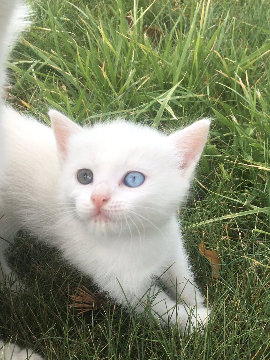 Фото из открытого источника