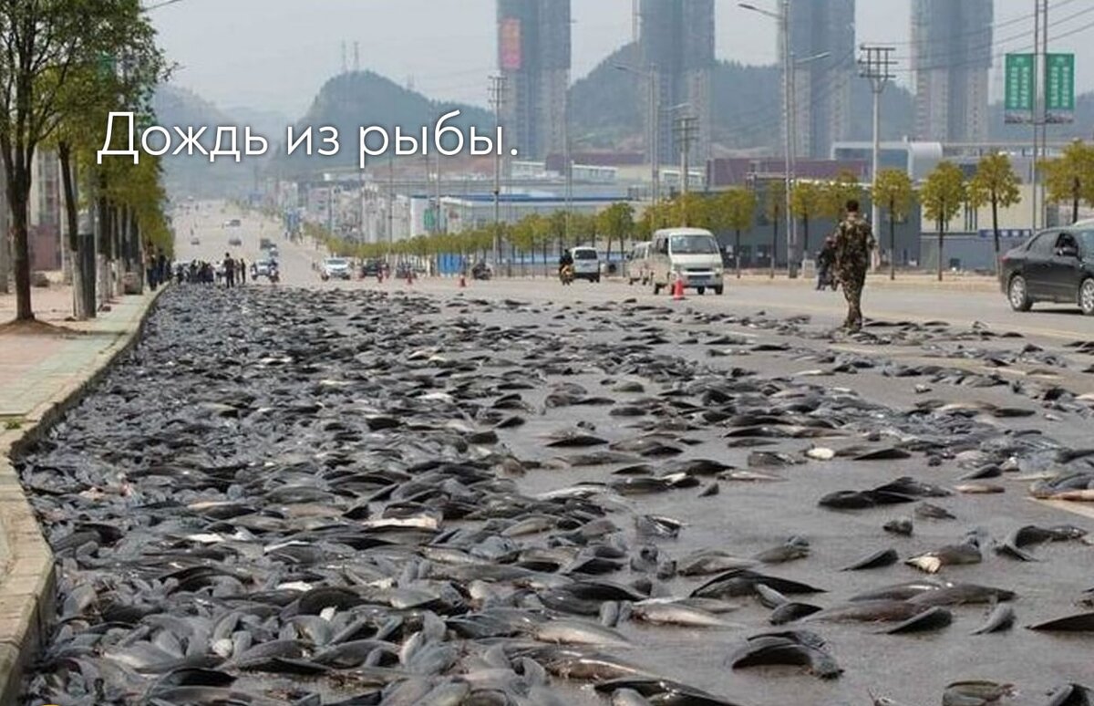 🐟 Дождь из рыбы. 

Большинству из нас идея падающих с неба рыб покажется абсурдной.

Но на самом деле во всем виноваты — водяные смерчи. Это такие маленькие торнадо, которые возникают над водой и затягивают рыб, которых затем уносит ветром, в результате чего они падают где-то на суше.

