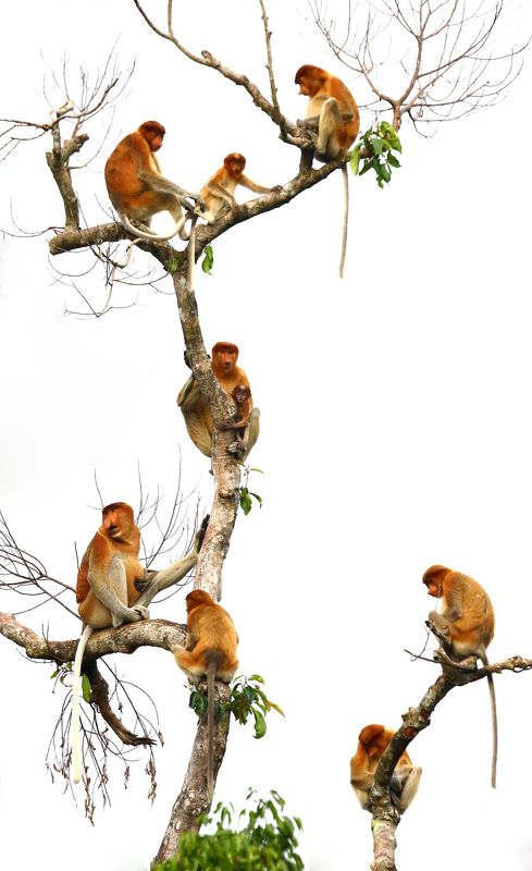 ����� ������� � ��������� ������ �������.