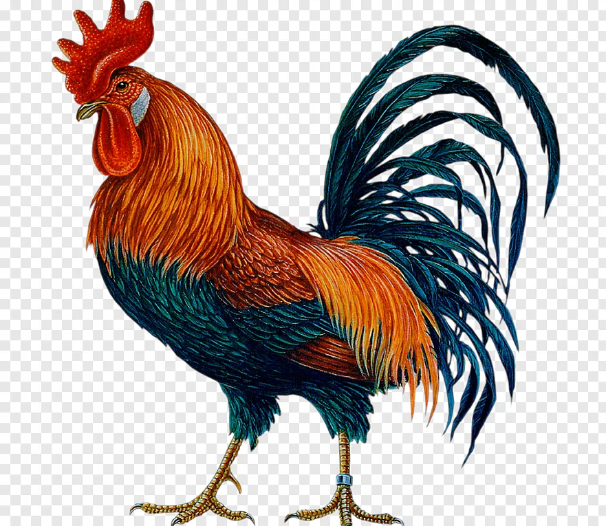 Яндекс картинки