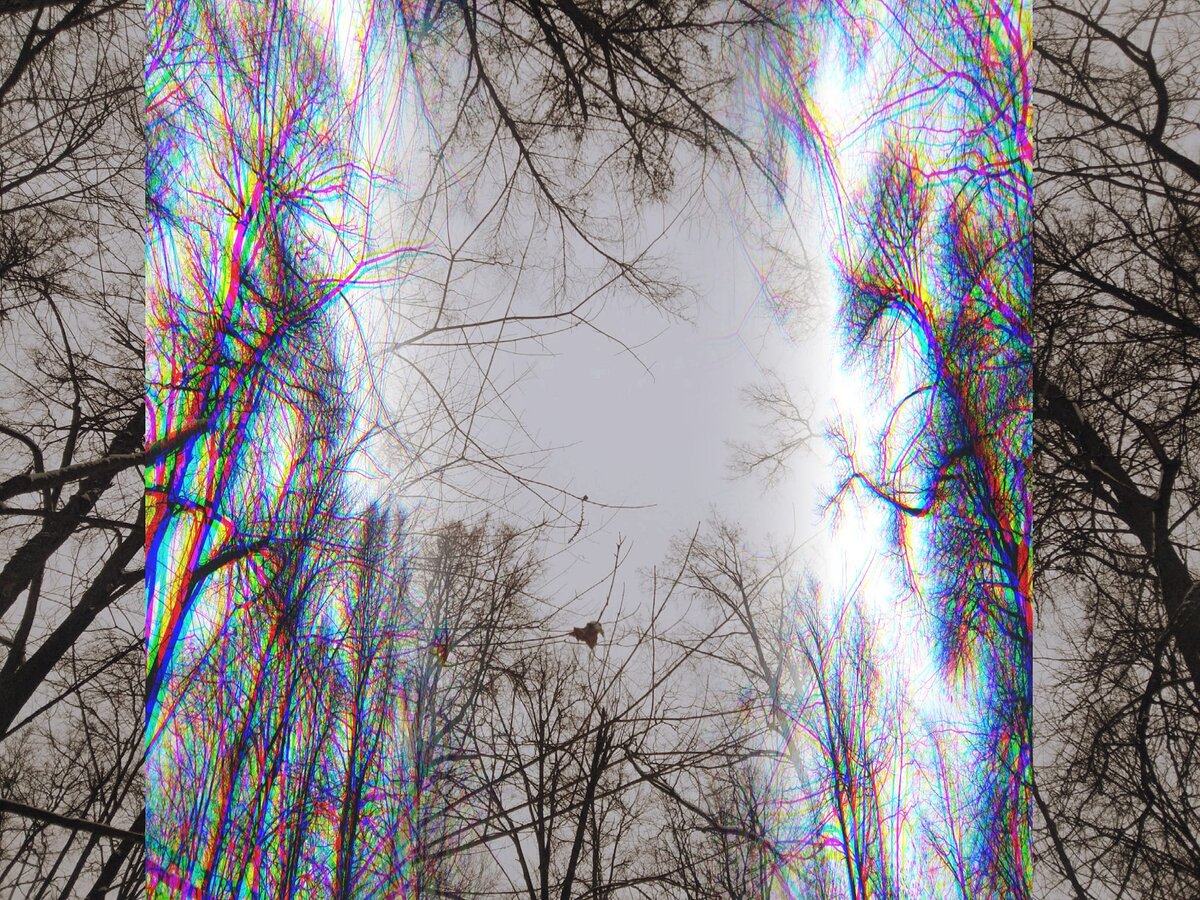 Катерина Фадеева