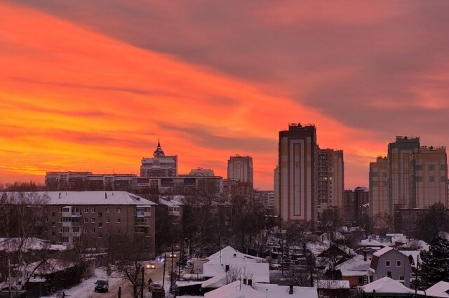    Фото: Telegram-канал Александра Сакалова/ комментарии