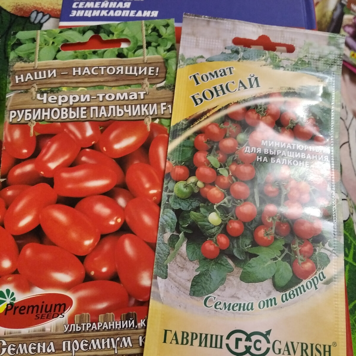 фото автора