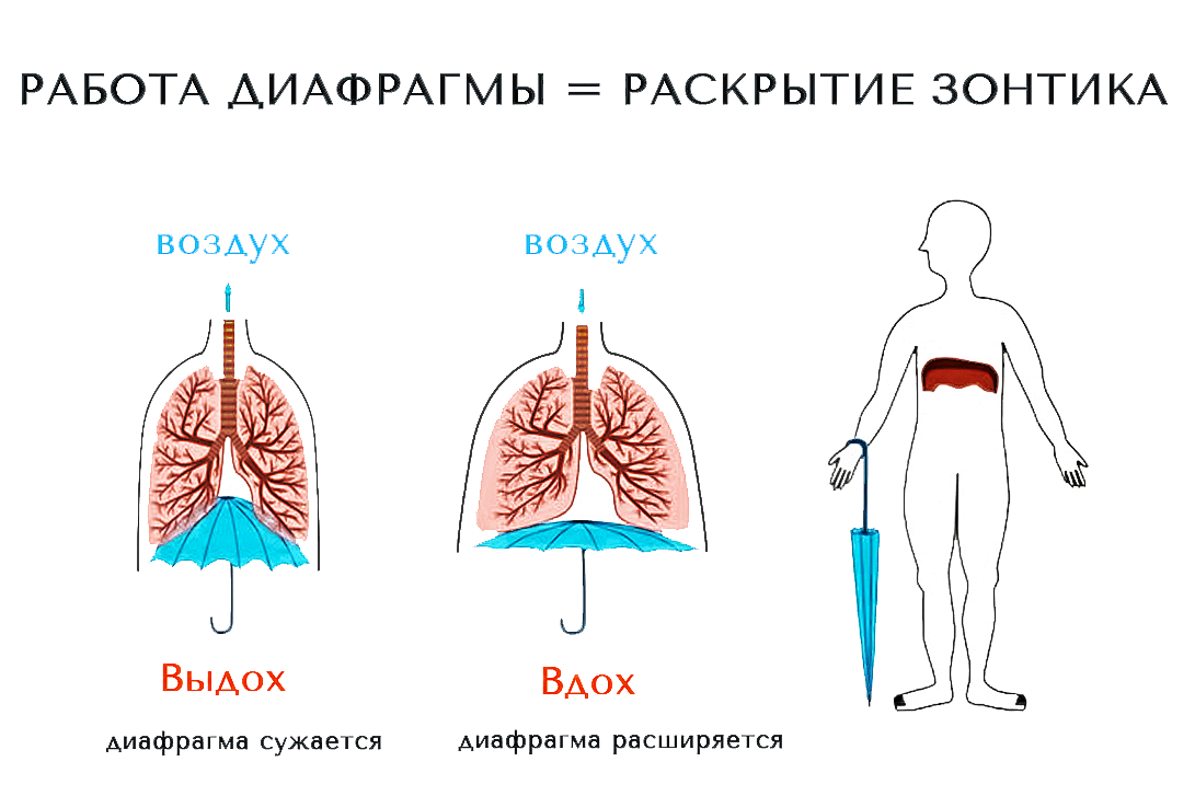 А вы правильно дышите? | Массаж и моделирование лица и тела в Алматы.  Bodycare Studio Анны Абрамовой | Дзен