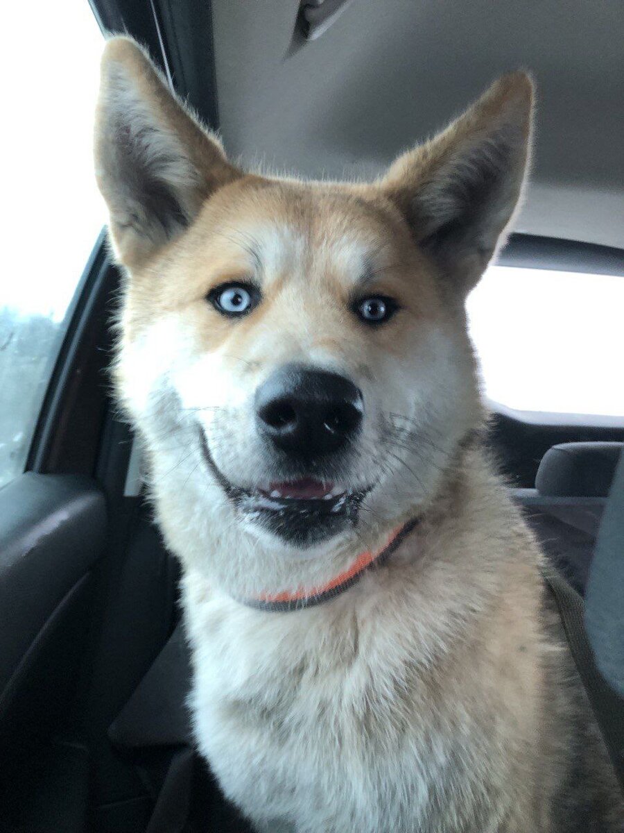 Маленький улыбашка. Ну что за чудо!