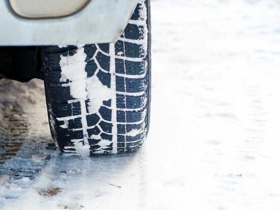     Фото: ru.freepik.com