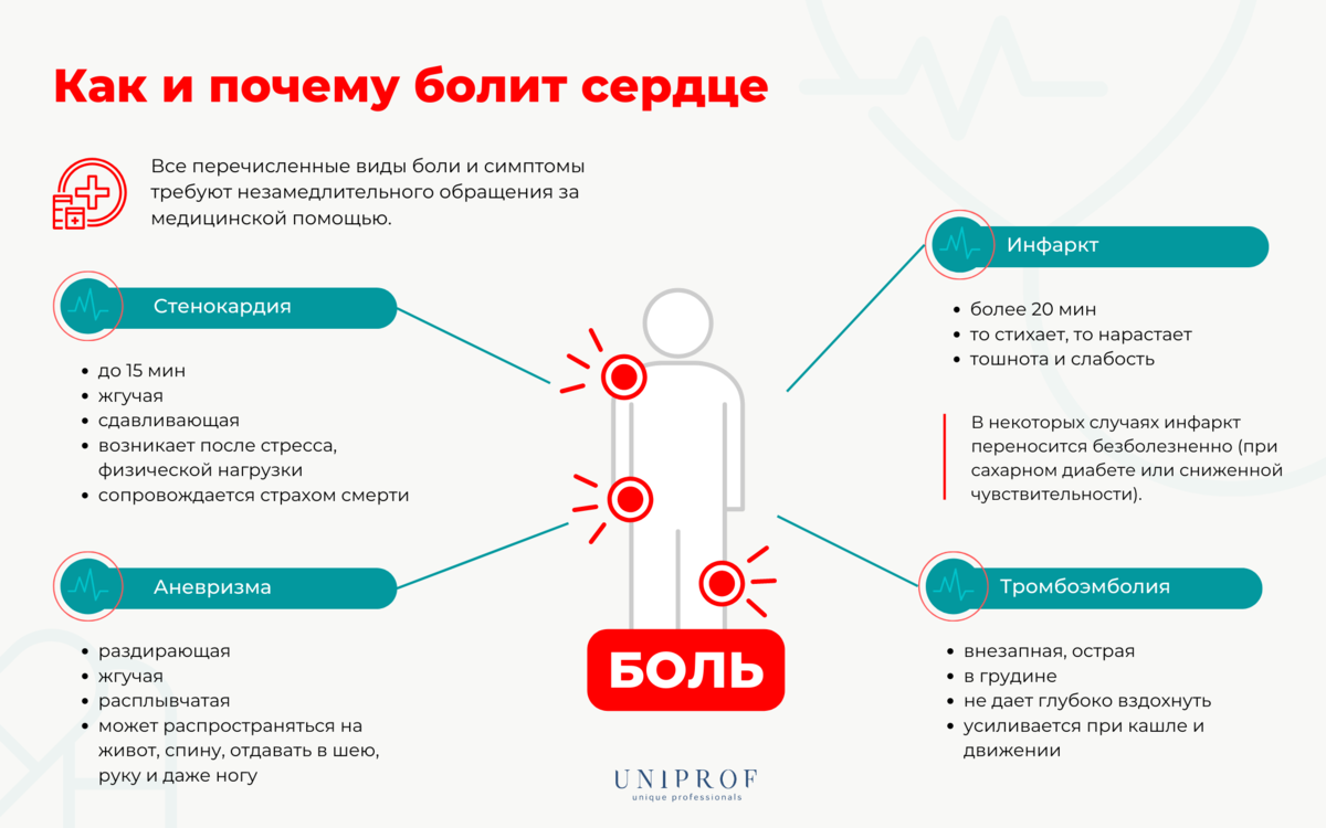 Как болит сердце: стенокардия, инфаркт, аневризма | Академия врачей UNIPROF  | Дзен