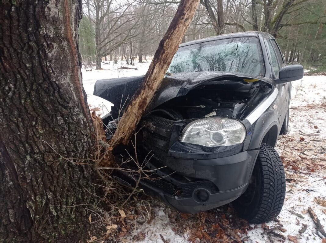 В Ряжском районе Chevrolet Niva врезалась в дерево, пострадали 2 человека |  Новости 7info.ru | Дзен