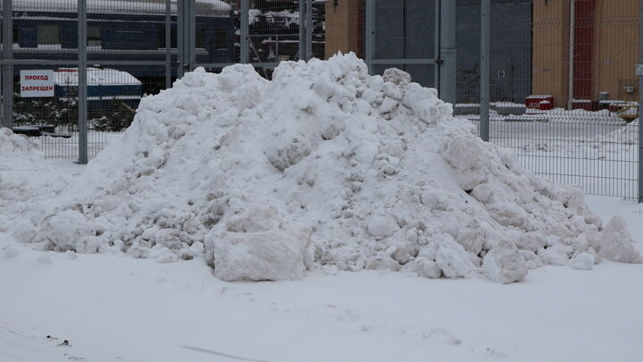 ФОТО: MAKSIM KONSTANTINOV/GLOBALLOOKPRESS