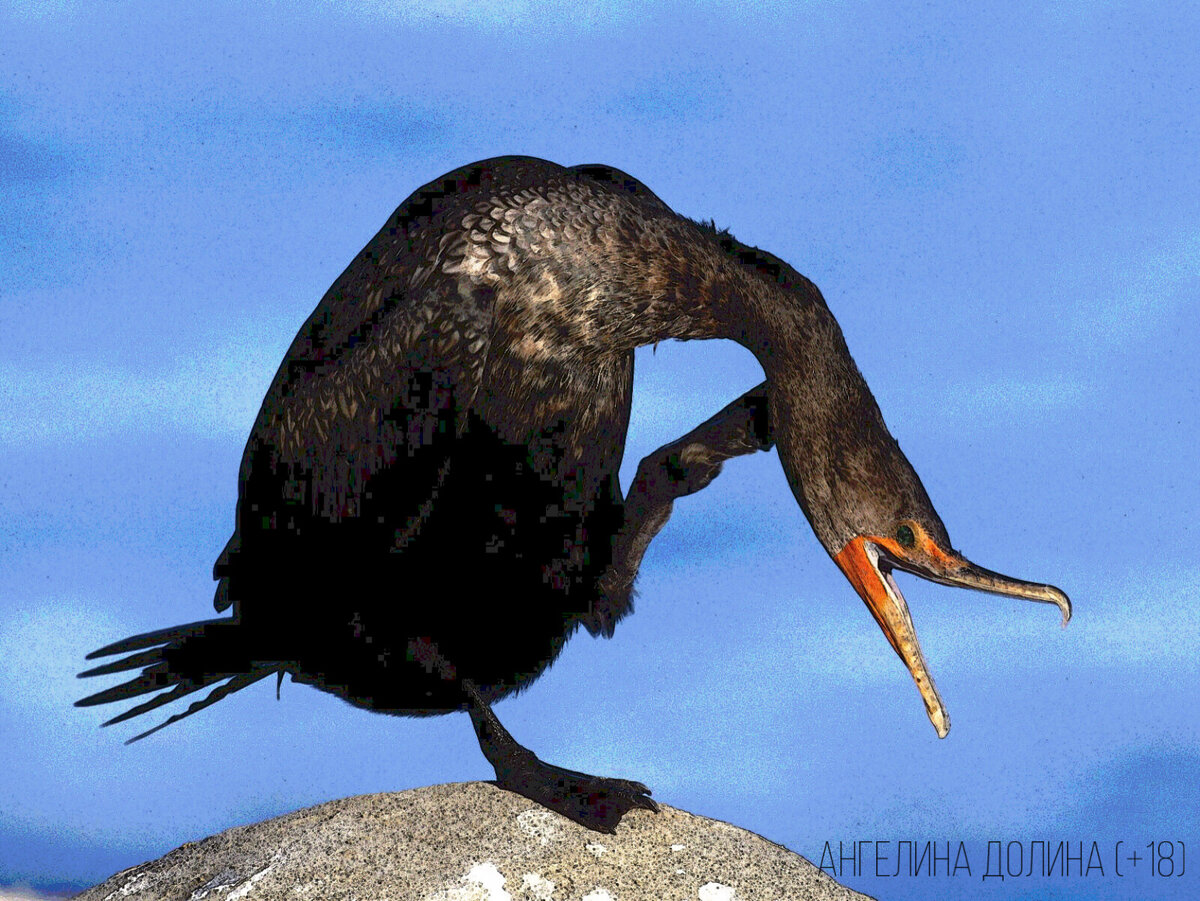 Примерно так выглядел тот самый любитель черной икры.