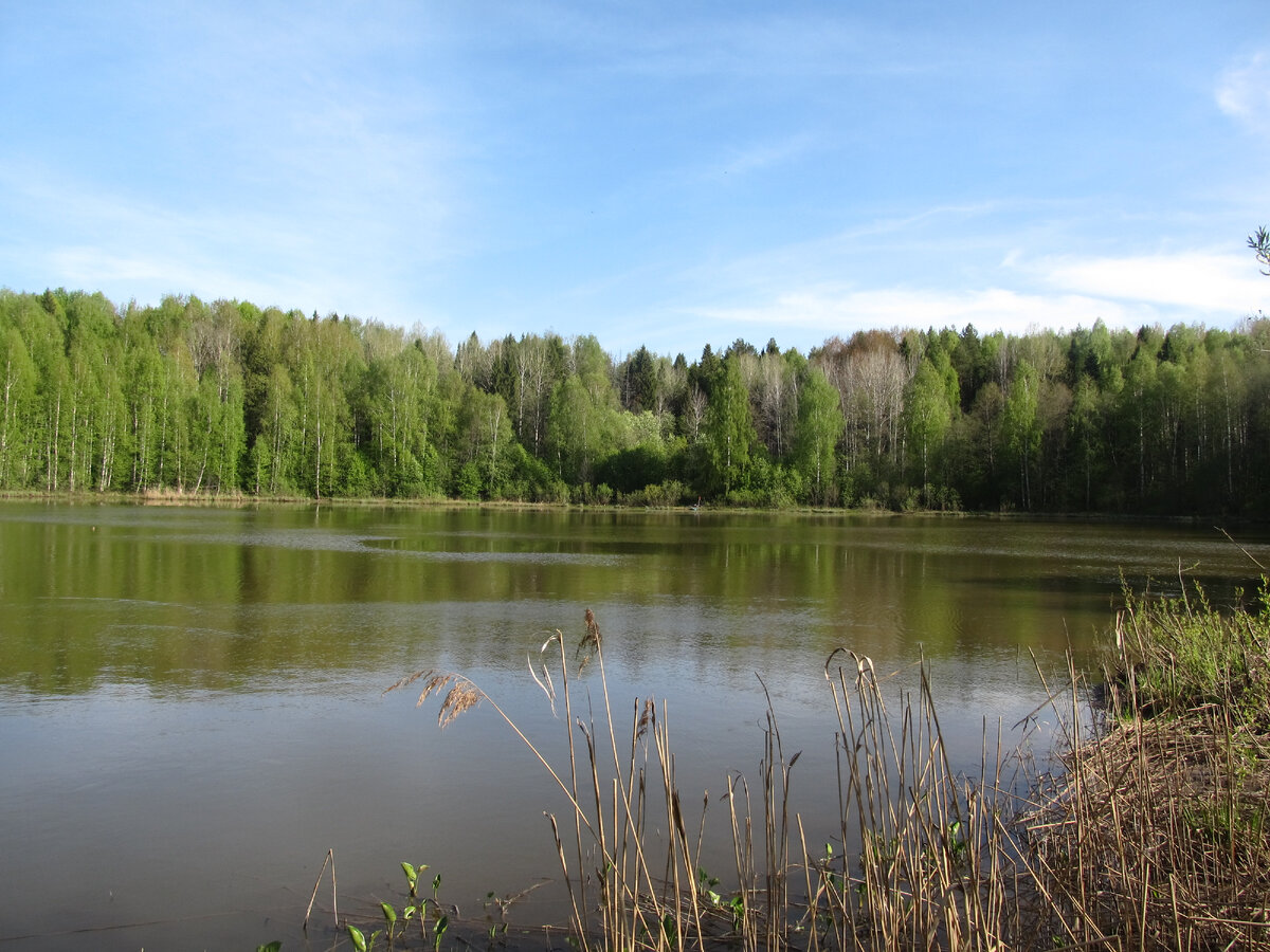 Никулятское (Лешкинское) озеро на границе Яранского и Пижанского районов Кировской области.