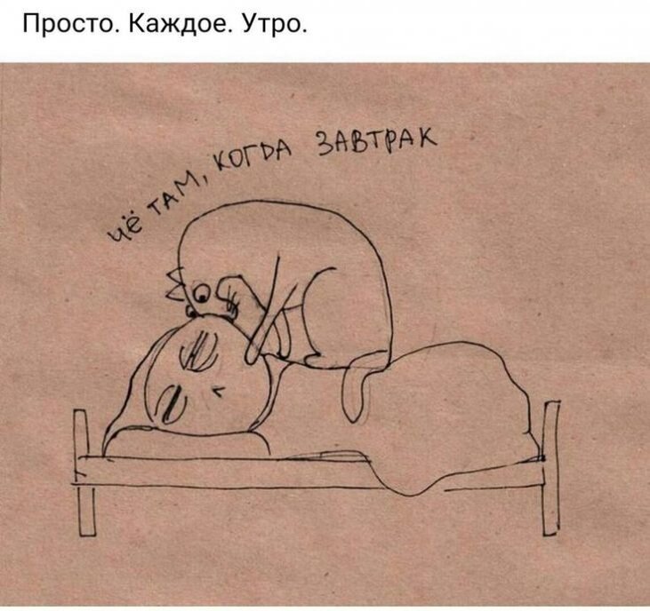 картинка с просторов интернета