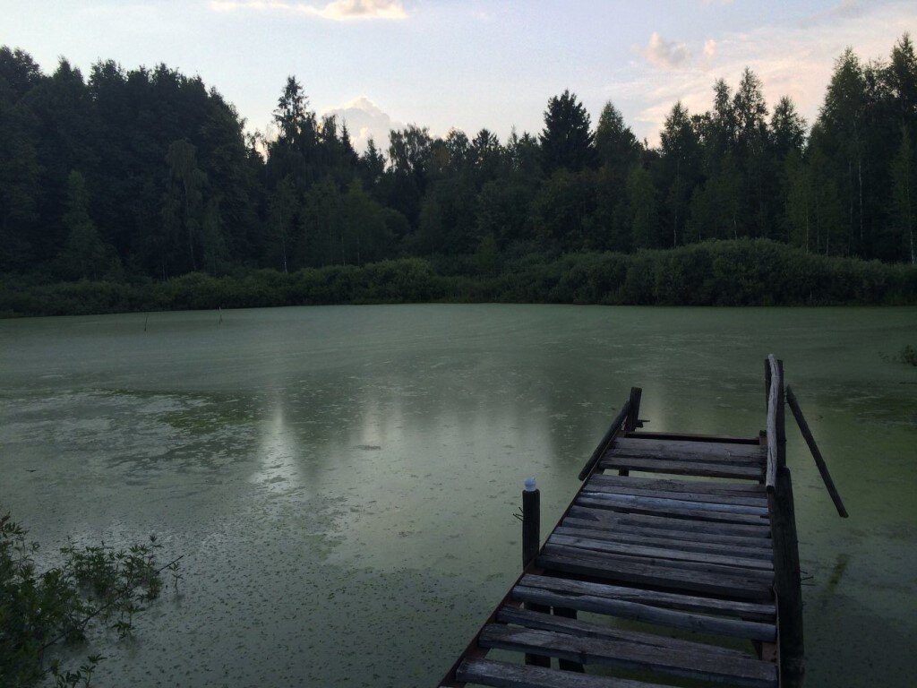 Фото из открытых источников.