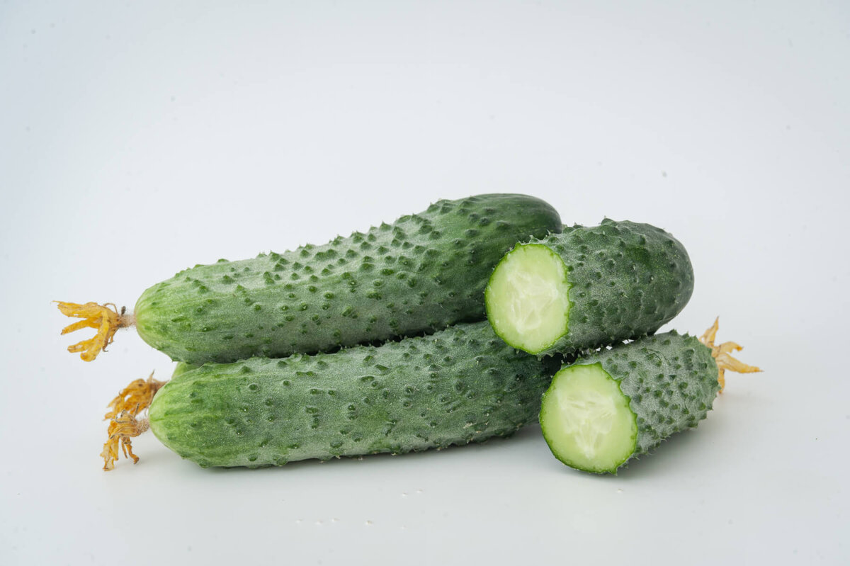 Плоды огурца F1 Мамлюк