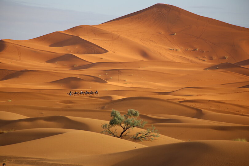 фото с yandex.ru