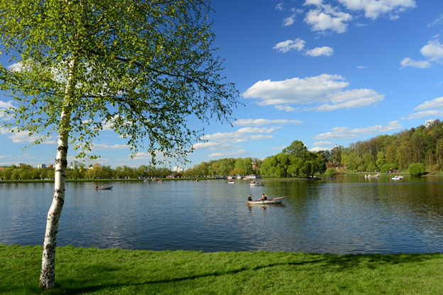 Фото: Мосприрода.  Терлецкий лесопарк