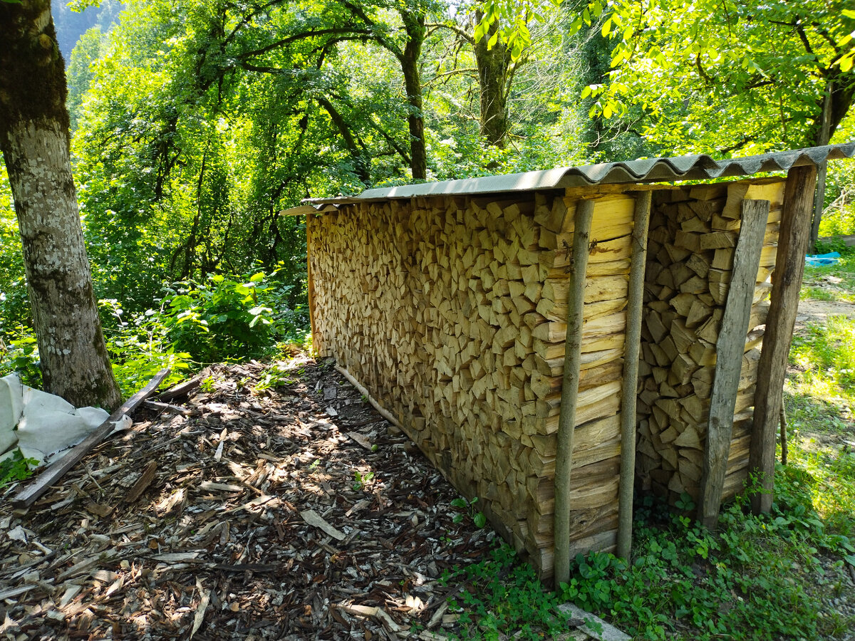 Фото автора канала