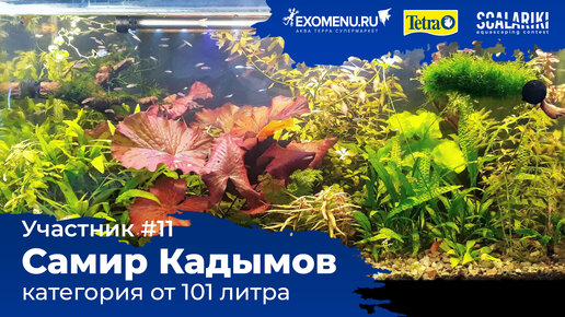 Травник 180 л. Участник №11 в категории от 101 литра. #Scalariki​ Aquascaping Contest 2021