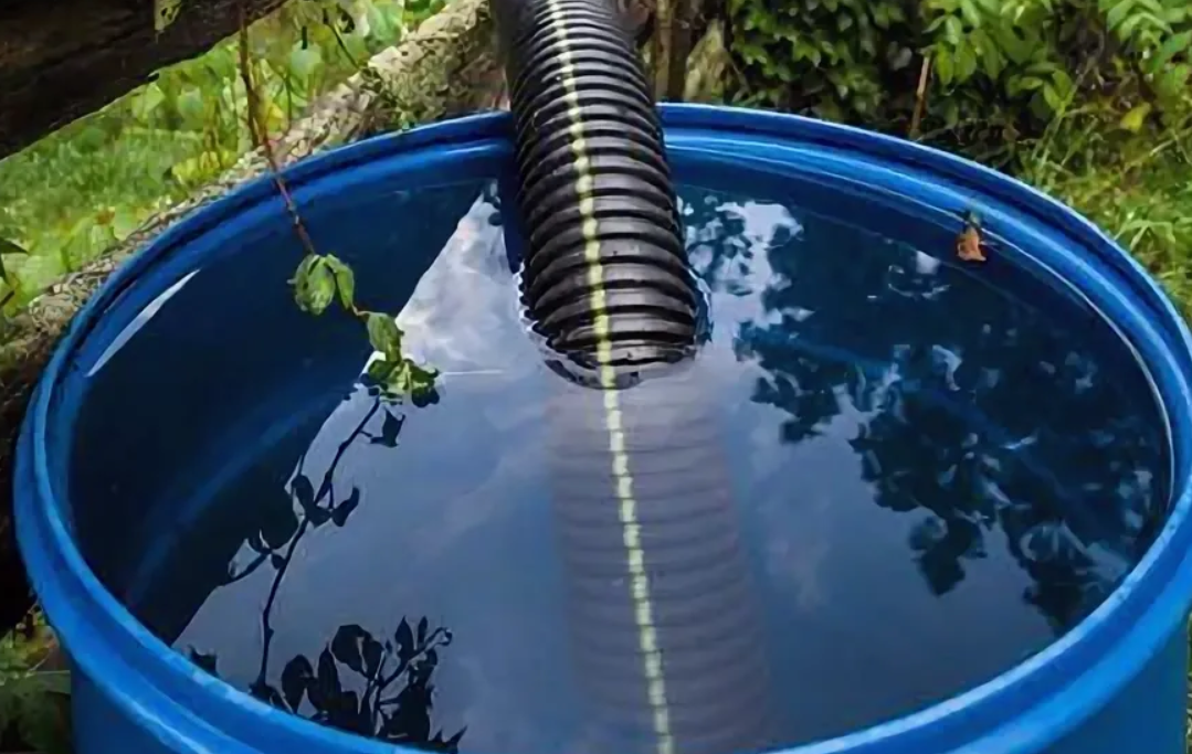 Залив воды в бочку. Дождевая бочка Rain Barrel 240 литров. Емкость для полива. Емкость для сбора дождевой воды. Ёмкость для воды на дачу для полива.