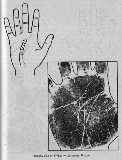 Лестница святого Иакова на ладони. ВКонтакте