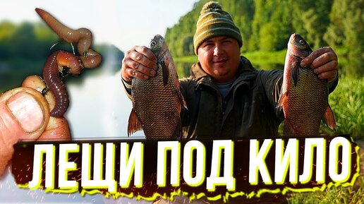 ЛЕЩИ ПОД КИЛО ГНУТ УДОЧКИ. Рыбалка с Ночёвкой На Красивой Реке у Костра!