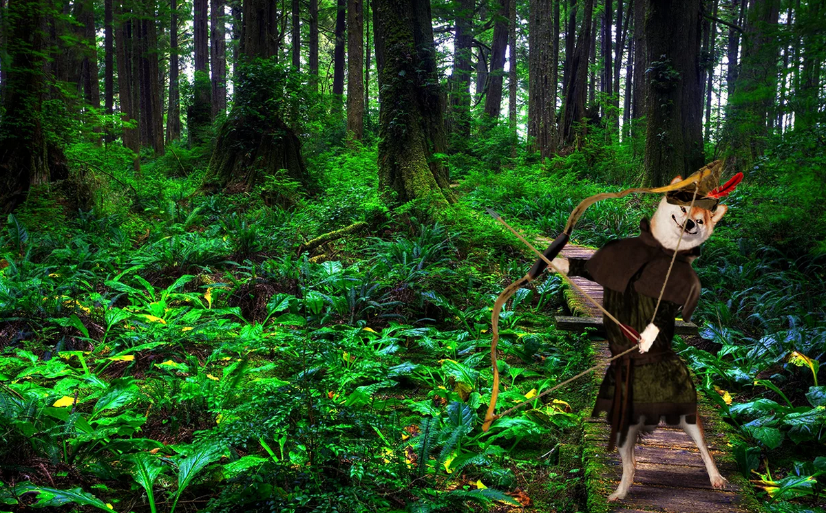 Дерево робин гуда. Робин Гуд лес. Sherwood Forest. Лес из Робин Гуда. Шервудский лес в Англии.
